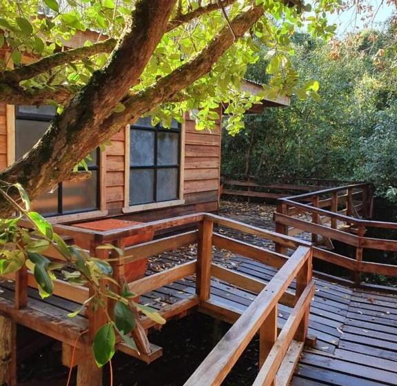 Апартаменты 1 Спальня с Балконом, Chiloe Domos