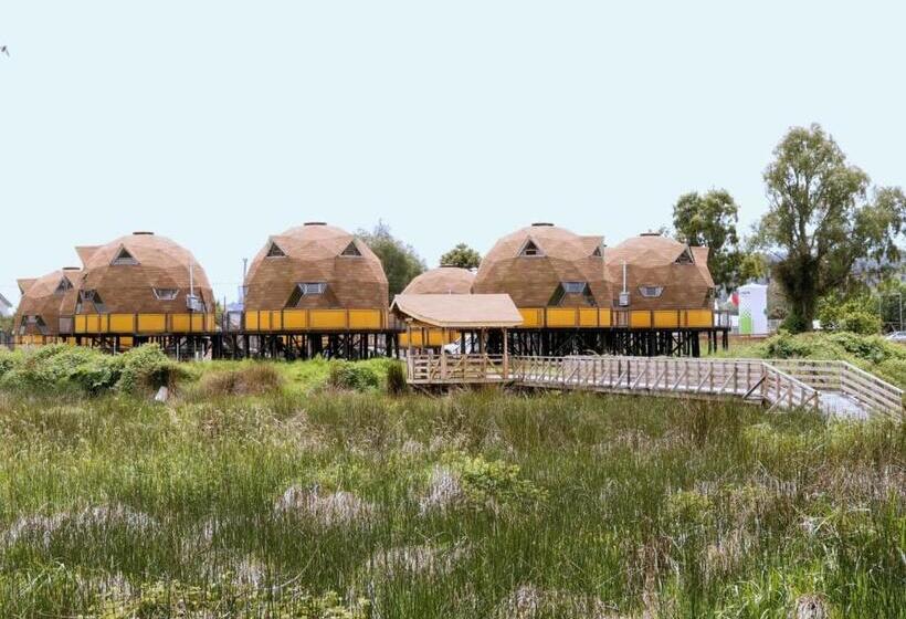 Апартаменты 1 Спальня с Балконом, Chiloe Domos