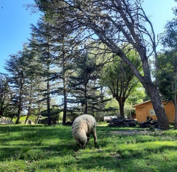침실 1개 발코니 아파트, Hosteria Y Cabañas Los Mimbres
