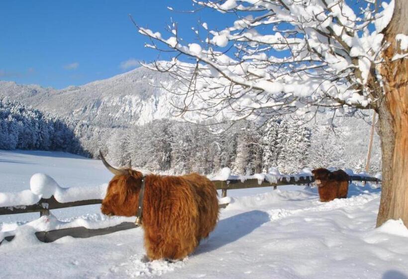 דירת 4 חדרים, Ferienheim Riedhof