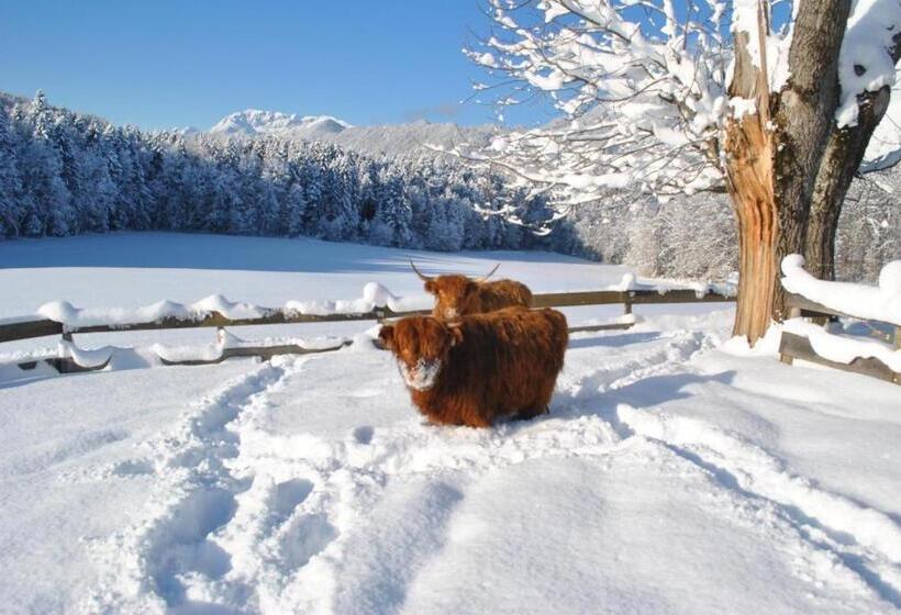 דירת 4 חדרים, Ferienheim Riedhof