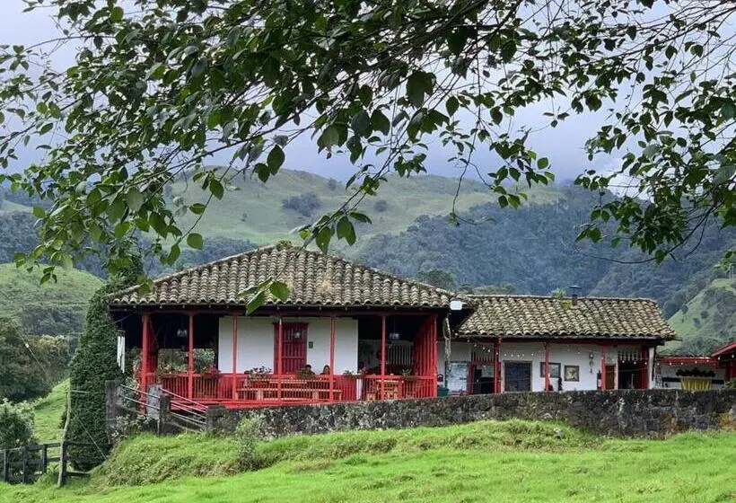 Standard Kolmen Hengen Huone, La Laguna Hostal