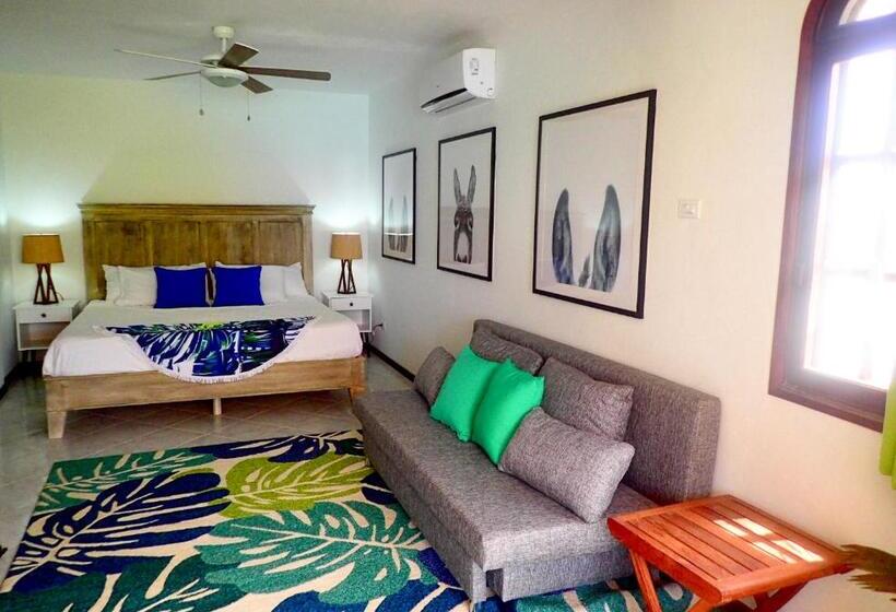 اتاق استاندارد با تخت بزرگ, The Laughing Seahorse