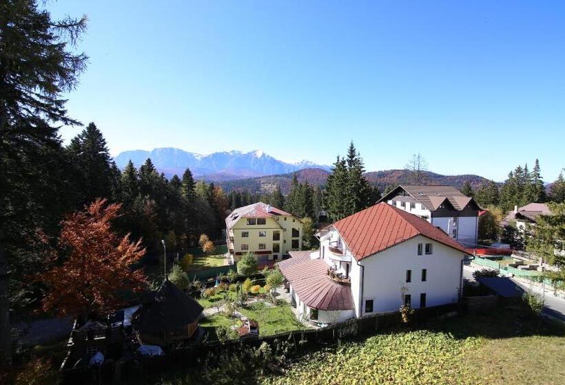 Номер Стандарт Вид на Горы, Vila Edelweiss