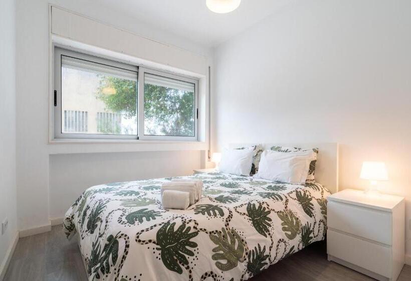 اتاق استاندارد, Moreira Family