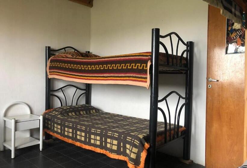 تختخواب در اتاق مشترک, Casa Bereber