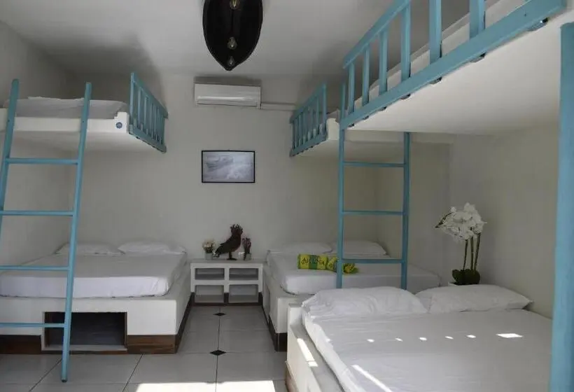 اتاق خانوادگی, Casa Apolonia