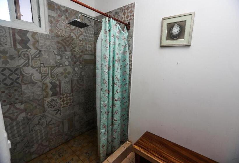 اتاق استاندارد چهارنفره با بالکن, Casa Apolonia