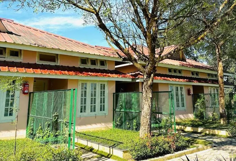 Superior-huone King-vuode, Green Paradise Hotel And Resort