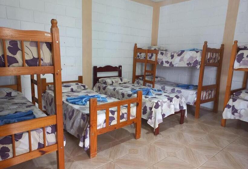 Семейный Номер, Comunidade Anuncia Me