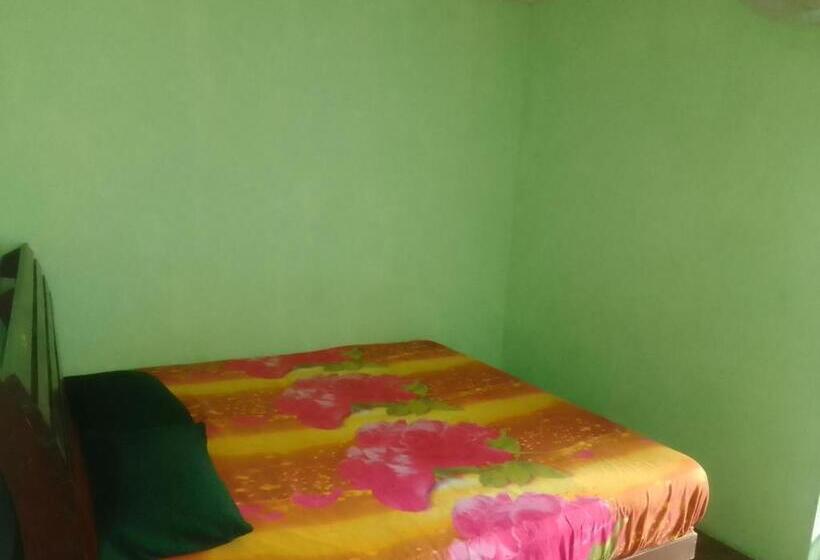 ファミリールーム, Rafting