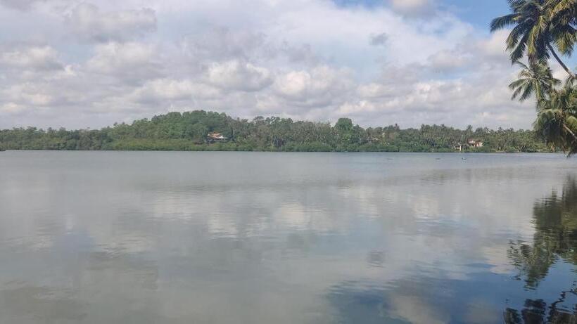 스탠다드 룸, Oya