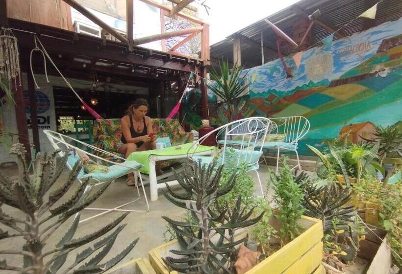 חדר סטנדרט נוף לגינה, Surf Camp   Máncora