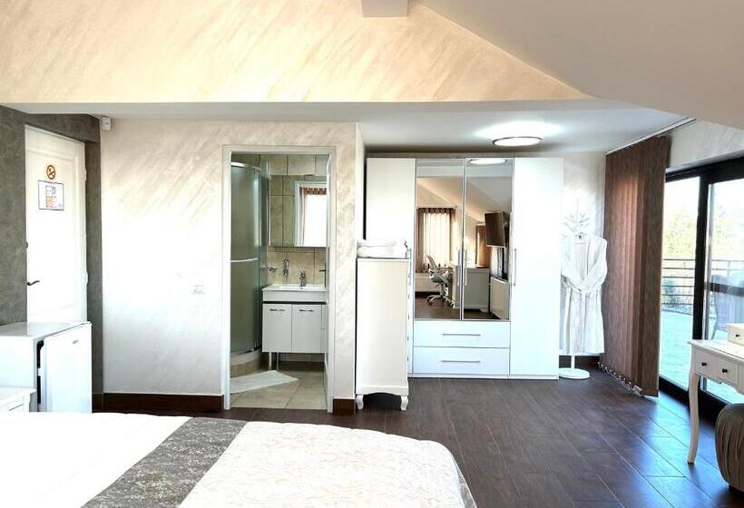 חדר סופריור, Diplomat Villa