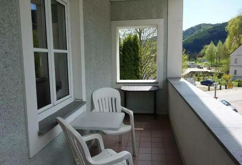 Comfort room with balcony, Goldenes Schiff Hotel Mietparkplätze