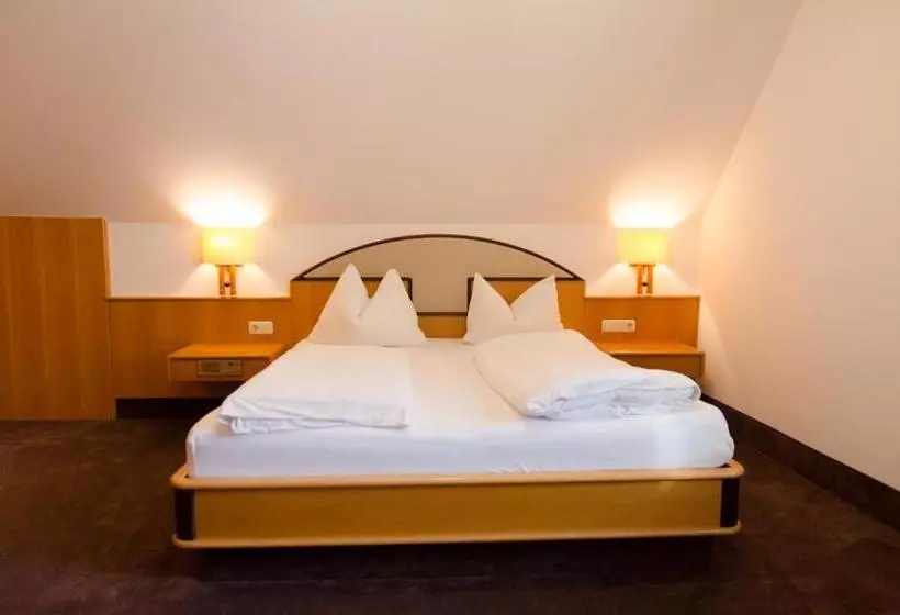 سوئیت با بالکن, Goldenes Schiff Hotel Mietparkplätze