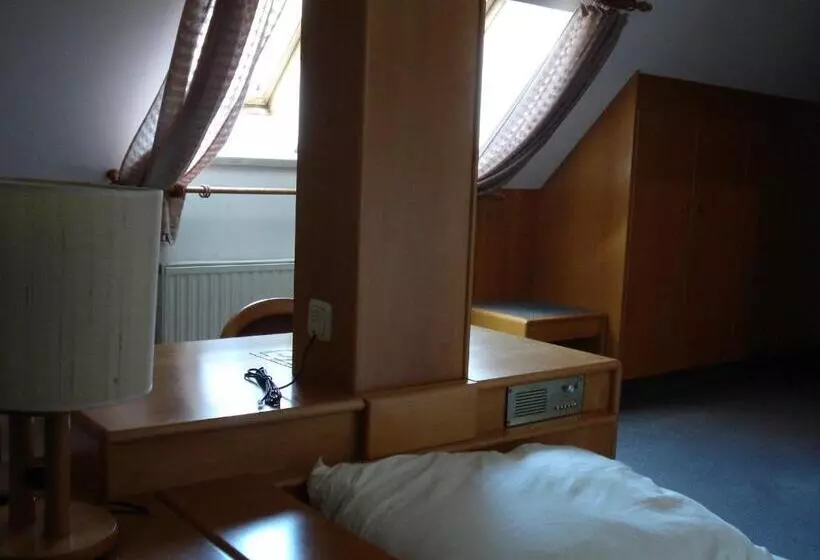 اتاق اکونومی یک تخته, Goldenes Schiff Hotel Mietparkplätze