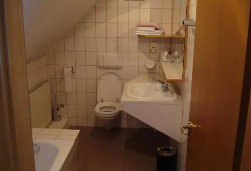 اتاق اکونومی یک تخته, Goldenes Schiff Hotel Mietparkplätze