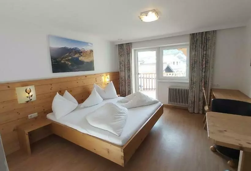 Standard-huone Parveke, Adler Hotel Pension
