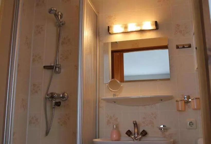 Standard Yhden Hengen Huone, Pension Leitner
