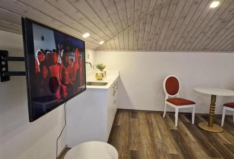 Standard-studio, Palace Hotel De Midões