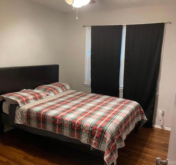 スタンダードルーム, Amir Travels