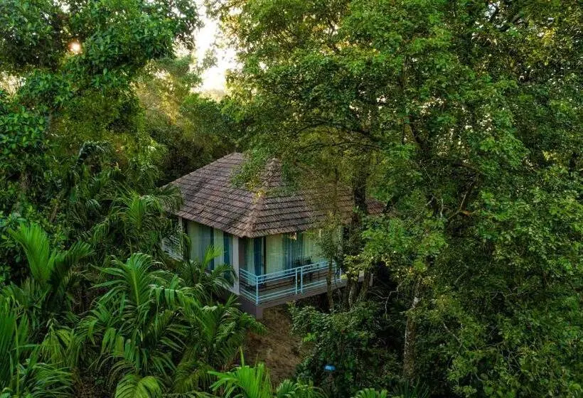 デラックスルーム, Green Tree Resort