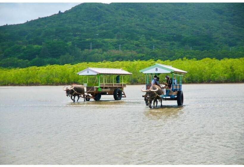 إستوديو قياسى, Moriya Iriomote   Vacation Stay 08891v