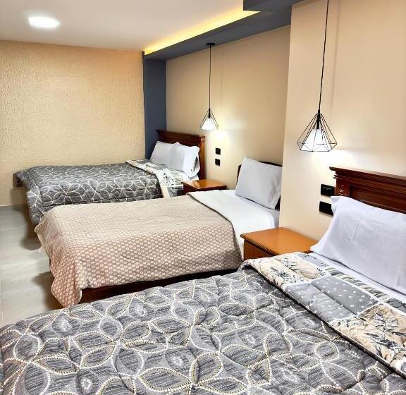 غرفة قياسية ثلاثية, Niiza