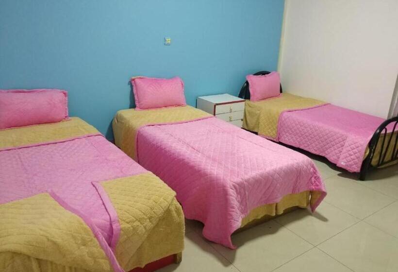 تختخواب در اتاق مشترک, Nanao Hostel