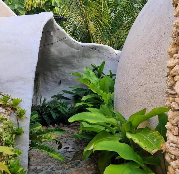 חדר סטנדרט, Jungle Kingdomes Guest House