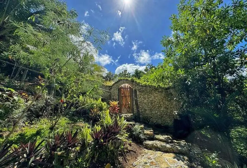 デラックスルーム, Jungle Kingdomes Guest House