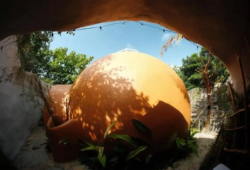 デラックスルーム, Jungle Kingdomes Guest House