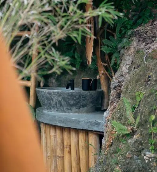 デラックスルーム, Jungle Kingdomes Guest House