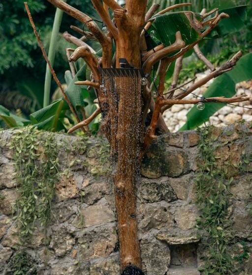 디럭스 룸, Jungle Kingdomes Guest House
