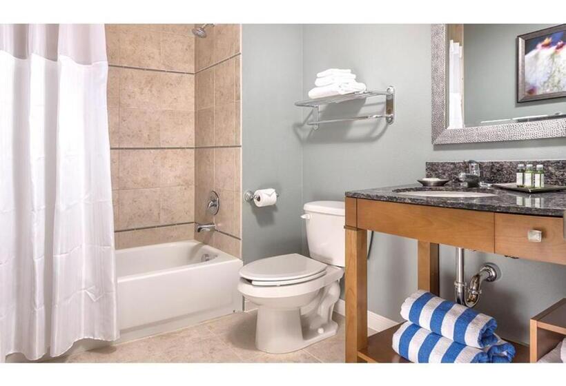 آپارتمان سوپریور 1 خوابه, Our Luxury Condo Awaits You A The Desert Blue, Moments From The Strip   Special Offer Now!