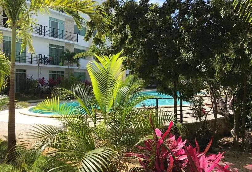 آپارتمان 1 خوابه, Beach Haus Suites Vacacionales