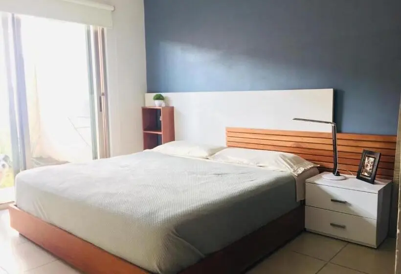 اتاق لوکس, Beach Haus Suites Vacacionales