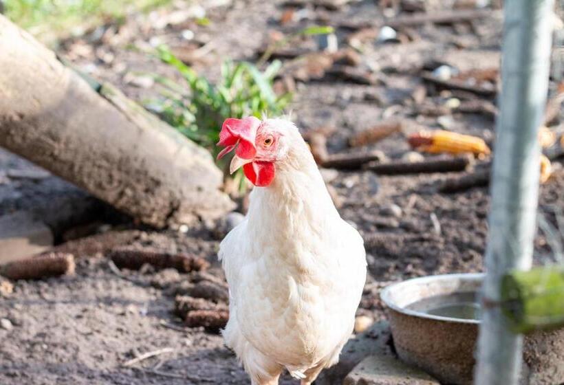 带花园景观的标准工作室, Bed En Bedford