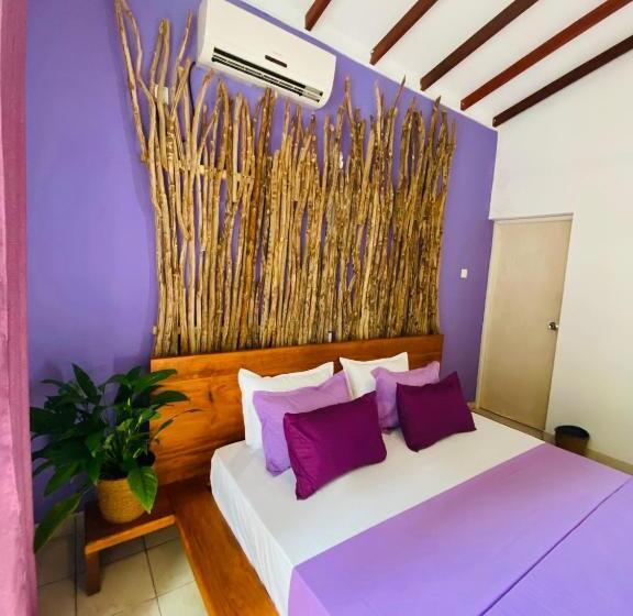 豪华房间, Surf N Spice   Hiriketiya