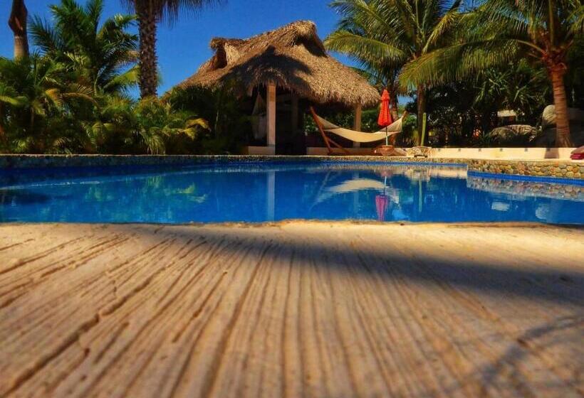 침실 1개 풀장 전망 아파트, Ocean Oasis Hotel   Adult Only, Four Casitas Boutique Resort