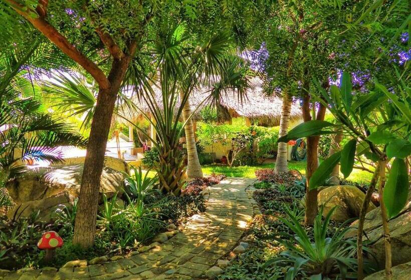 침실 1개 풀장 전망 아파트, Ocean Oasis Hotel   Adult Only, Four Casitas Boutique Resort