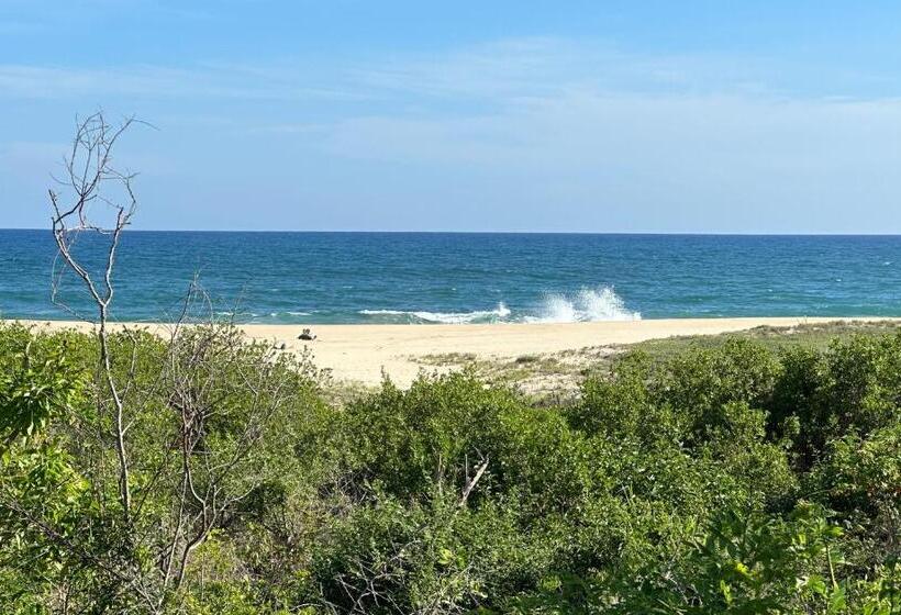 庭の見える１ベッドルームアパートメント, Ocean Oasis Hotel   Adult Only, Four Casitas Boutique Resort