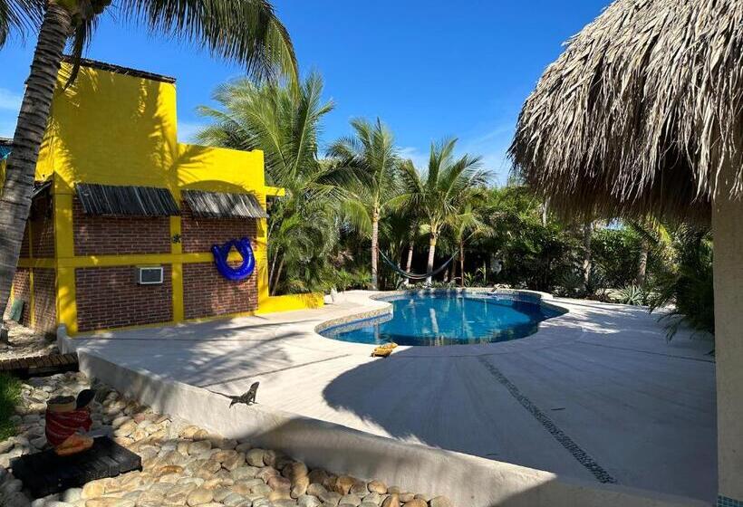 침실 1개 테라스 아파트, Ocean Oasis Hotel   Adult Only, Four Casitas Boutique Resort