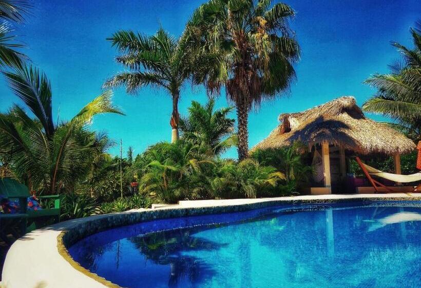 1베드룸 아파트 1층, Ocean Oasis Hotel   Adult Only, Four Casitas Boutique Resort