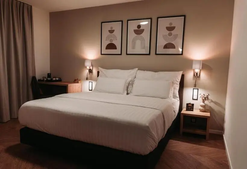 身障者適用キングサイズベッドルーム, Hôtel Du Midi