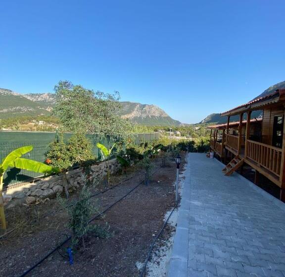 آپارتمان 1 خوابه, Esma Apart