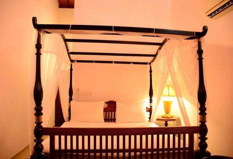 Quarto Estandar, Hikka Bliss