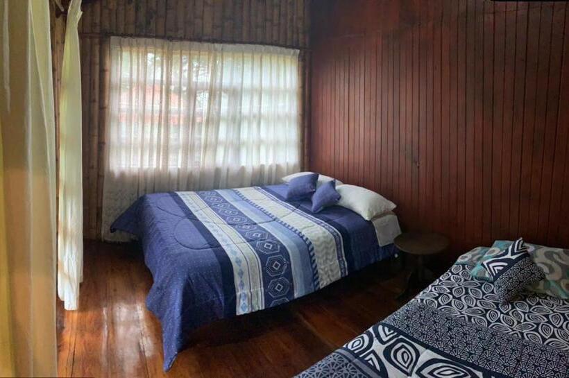 اتاق استاندارد, Paraíso Dorado