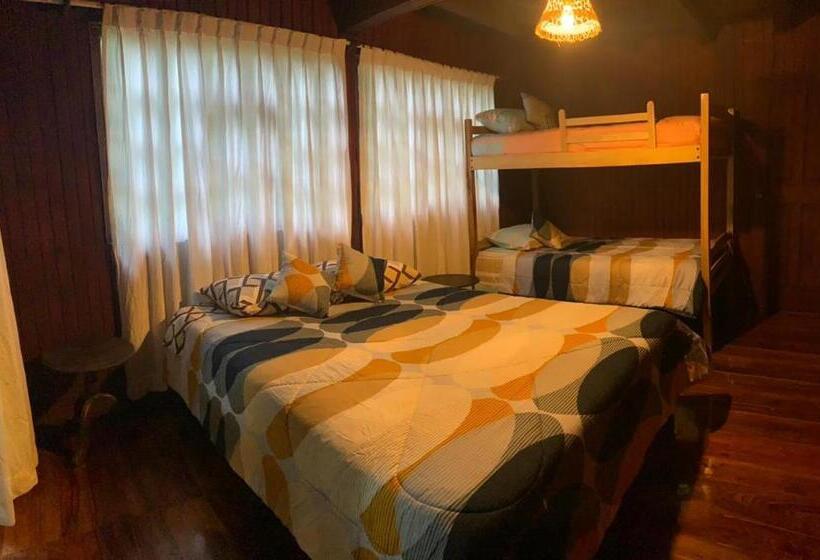 اتاق استاندارد, Paraíso Dorado